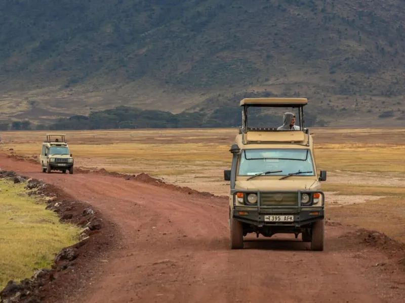 Safari vehicle on the plains at golden hour
