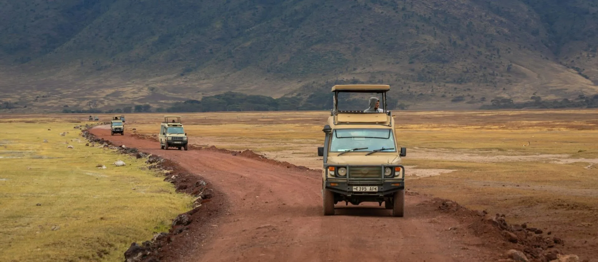 Springbok Expeditions safari group on game drive