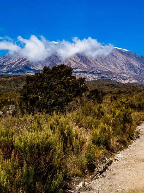 Kilimanjaro crater rim above the clouds