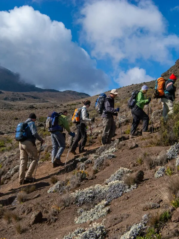 Trekkers on the Kilimanjaro summit ridge
