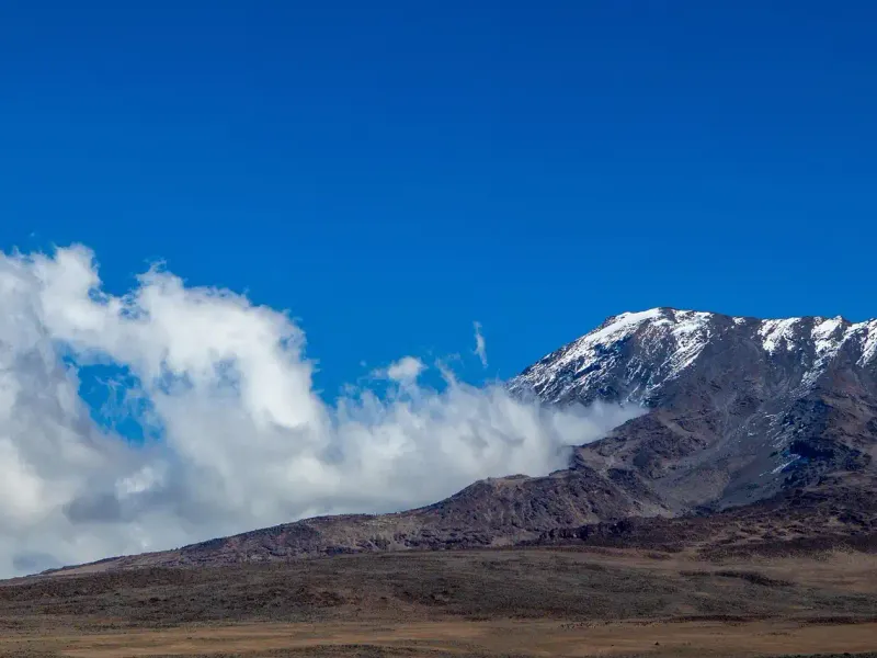 Kilimanjaro trekking team preparing for the day's hike