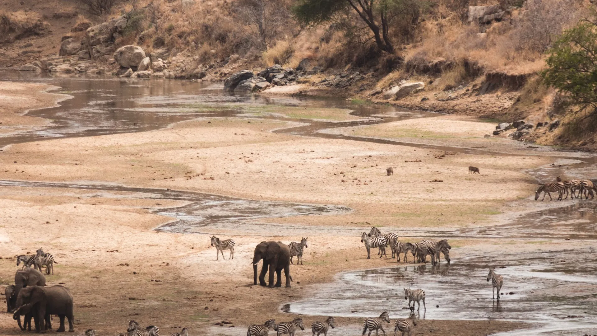 Tarangire National Park