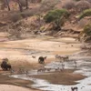 Tarangire National Park