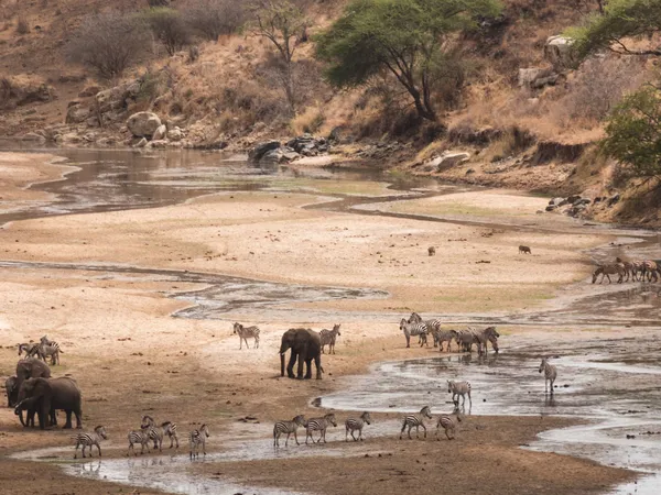 Tarangire National Park