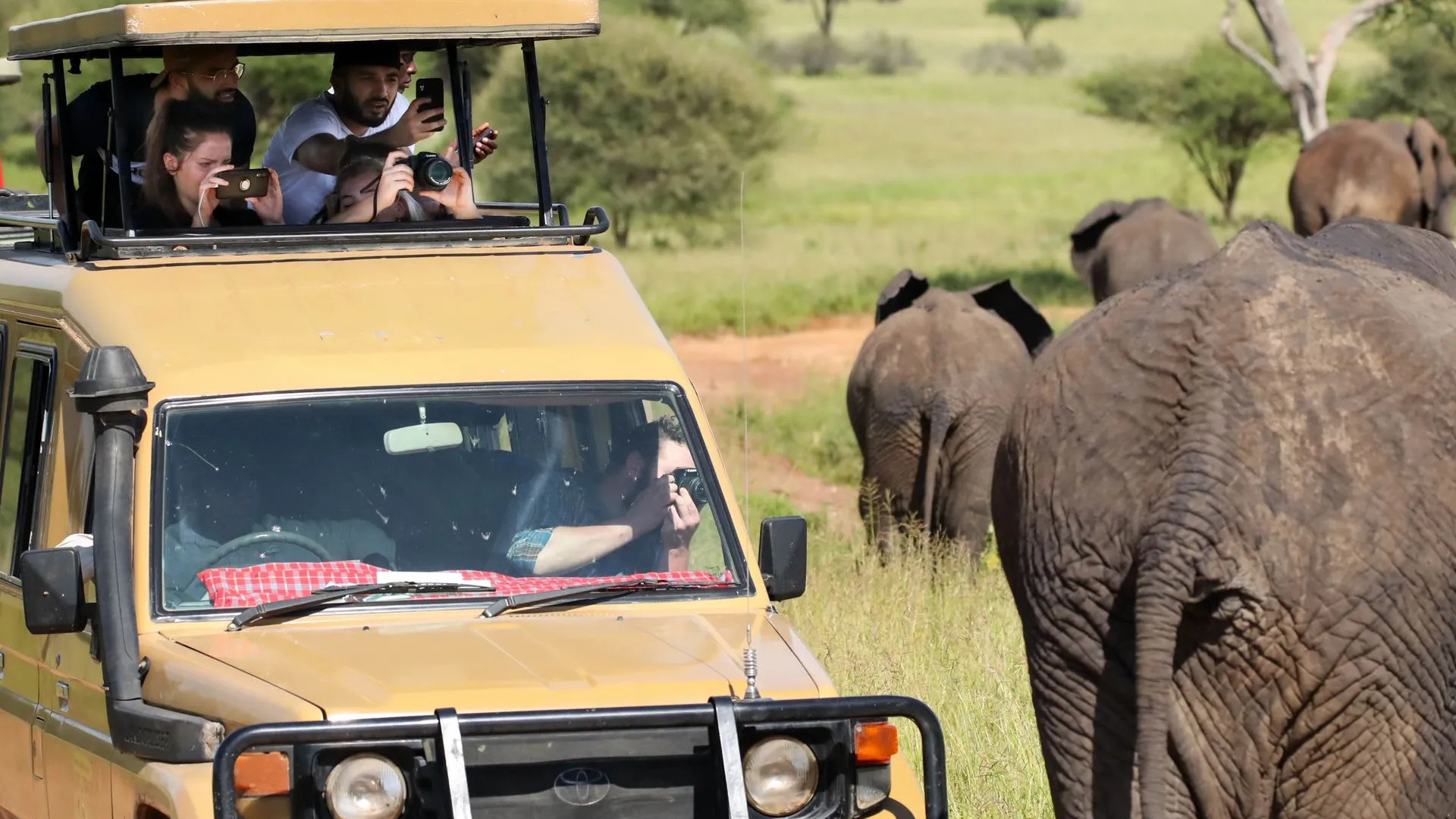 Photography Safari