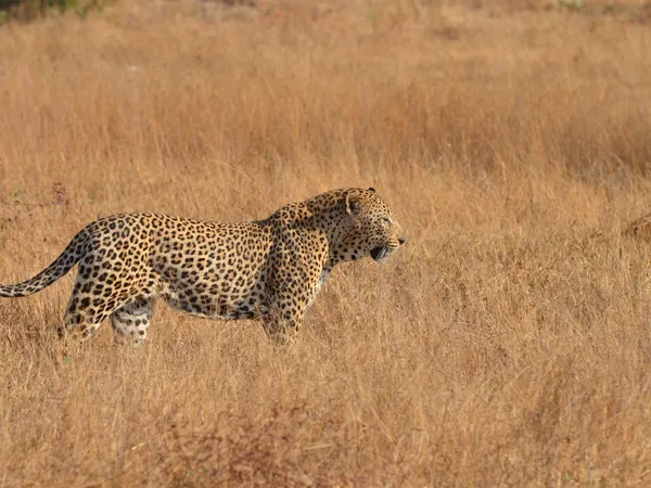 Serengeti National Park