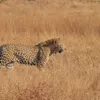 Serengeti National Park