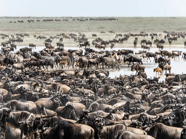8-Day Mara River Crossings · Two Days at the River (Fly-In)