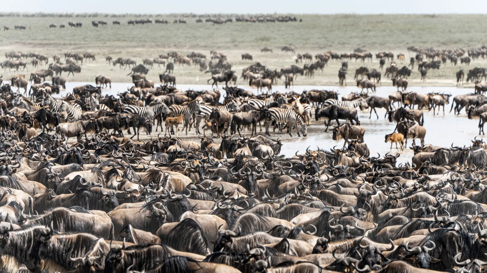 8-Day Mara River Crossings · Two Days at the River (Fly-In)