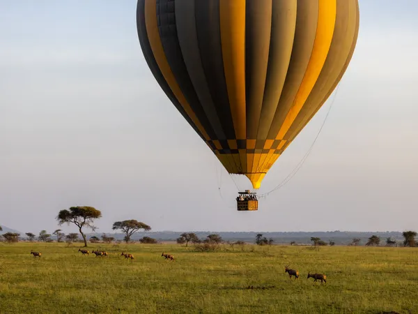 Hot Air Balloon Safaris
