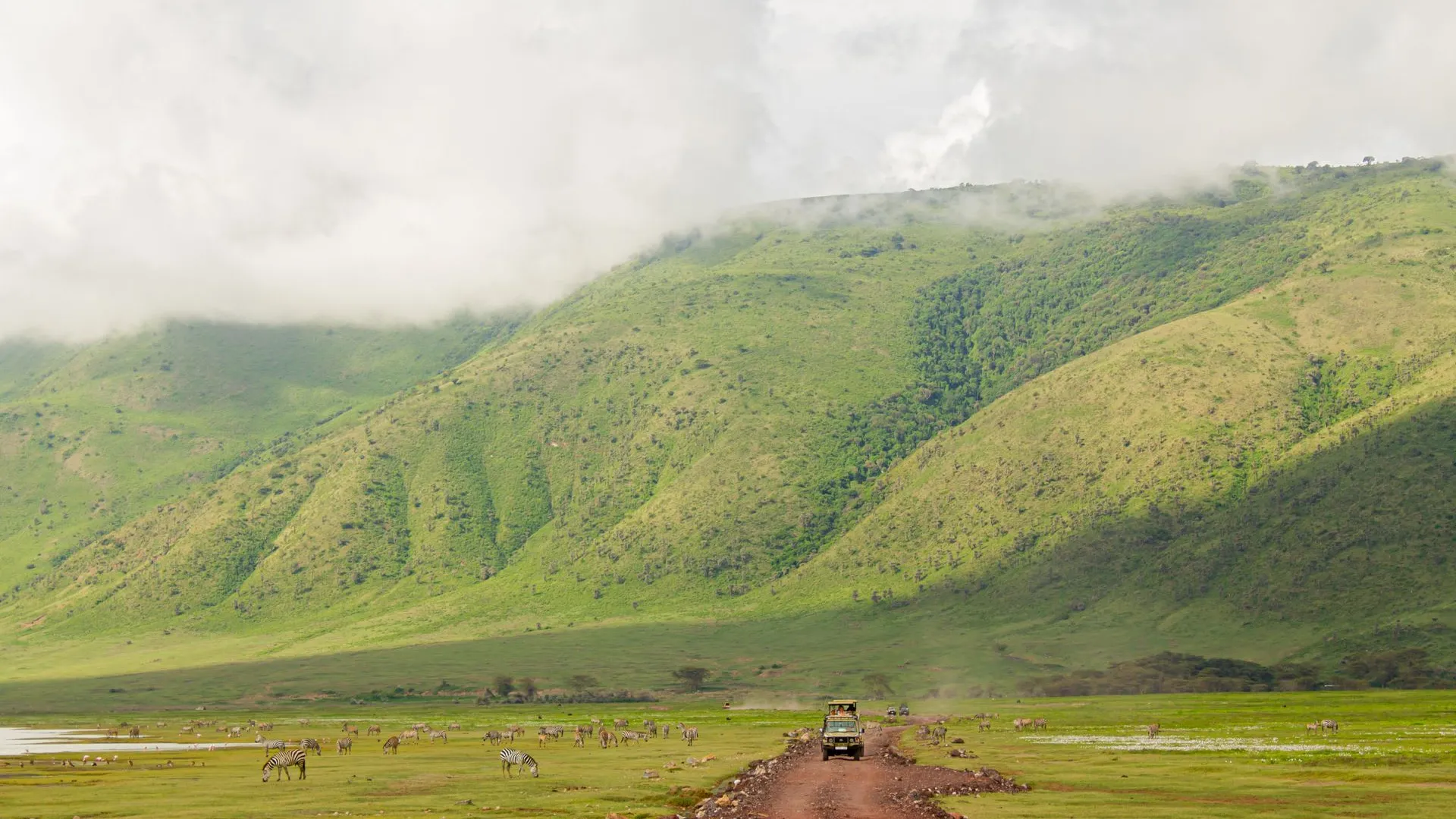 5-Day Mount Meru + Manyara/Ngorongoro Combo