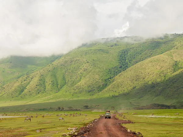5-Day Mount Meru + Manyara/Ngorongoro Combo