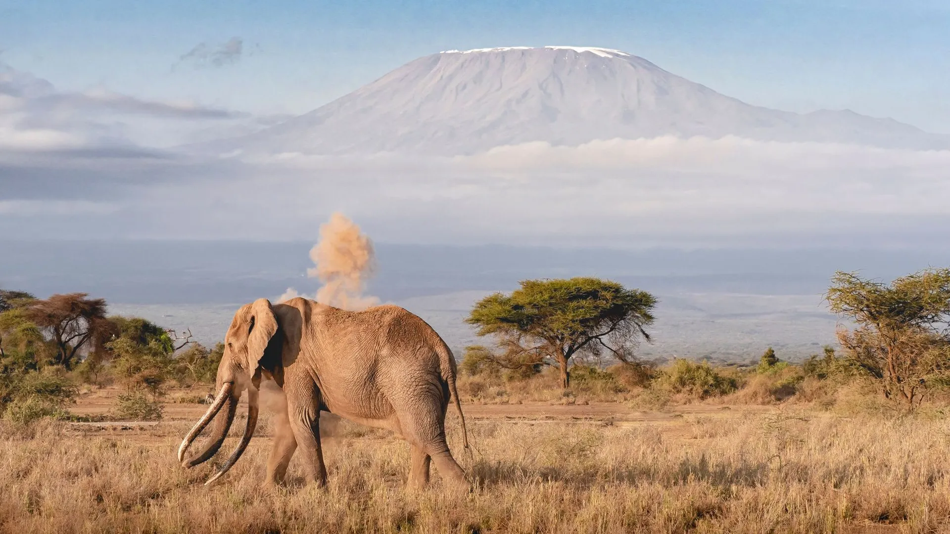Rongai Route landscape