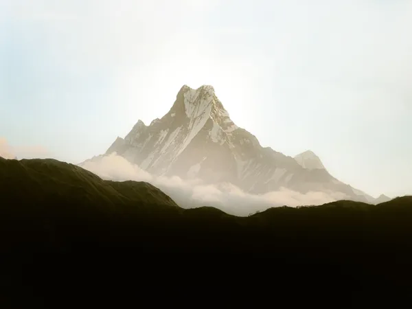 8-Day Kilimanjaro Climb · Lemosho Route