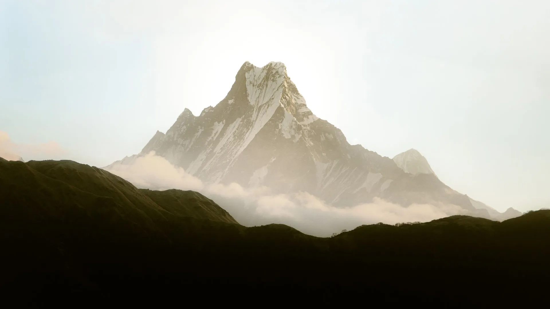 8-Day Kilimanjaro Climb · Lemosho Route