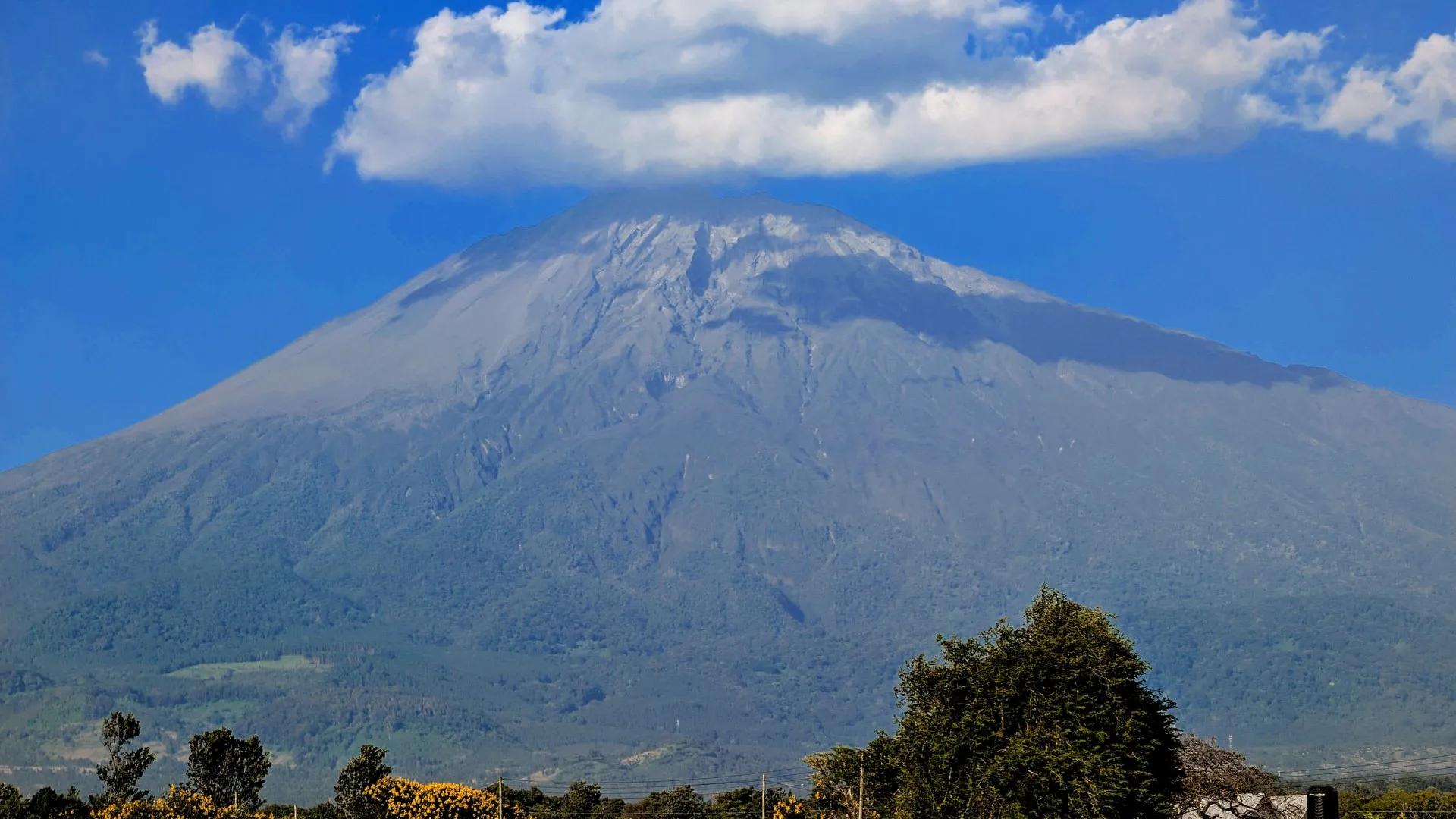 Marangu Route landscape