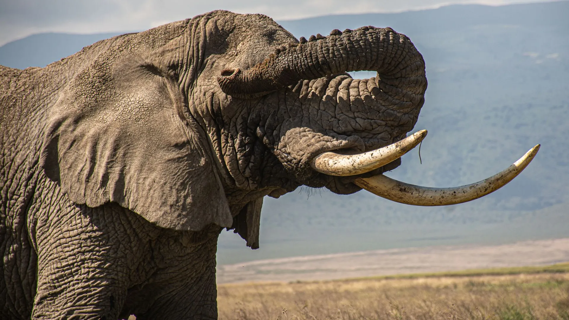 10-Day Northern Circuit Classic · Lodge Safari