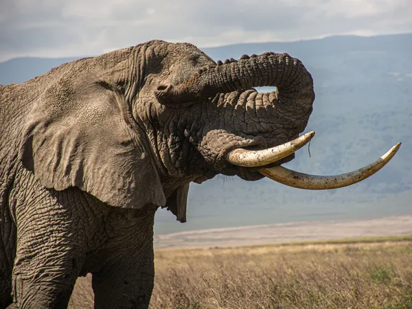 10-Day Northern Circuit Classic · Lodge Safari
