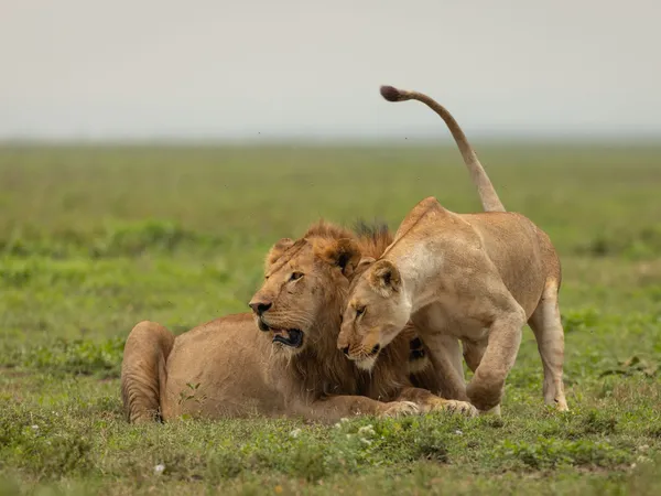 7-Day Zanzibar Honeymoon Beach Escape