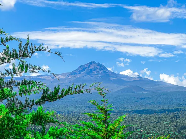 1-Day Arusha National Park Day Trip