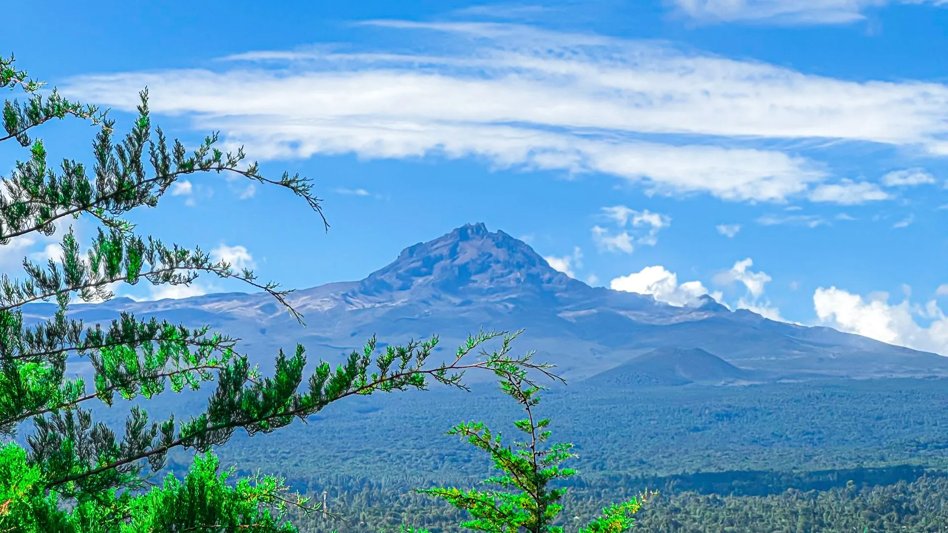 1-Day Arusha National Park Day Trip