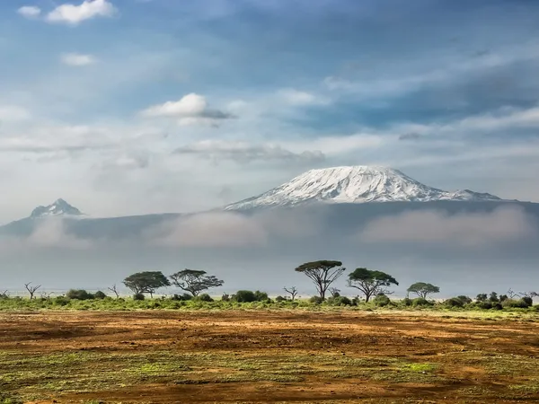 6-Day Kilimanjaro Umbwe Route