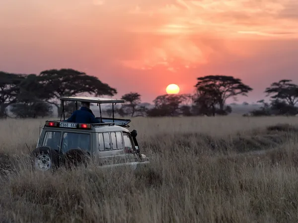 Hot Air Balloon Safaris