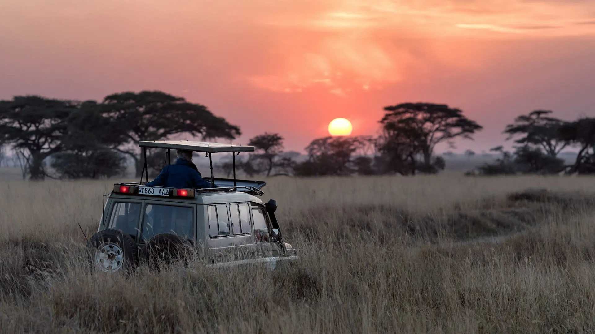 Your First Safari in Tanzania: What to Expect
