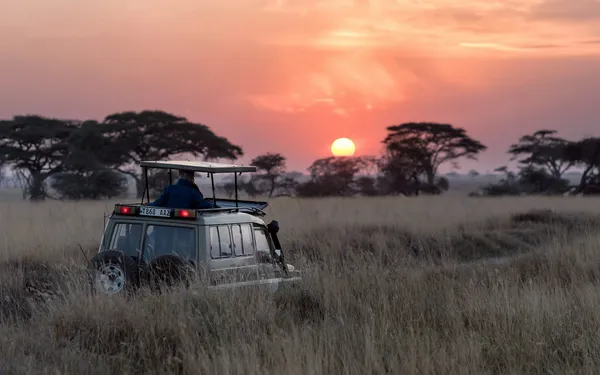 Your First Safari in Tanzania: What to Expect