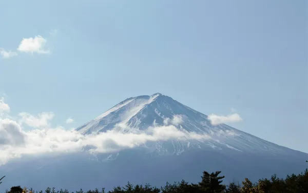 Kilimanjaro or Wildlife Safari: How to Choose