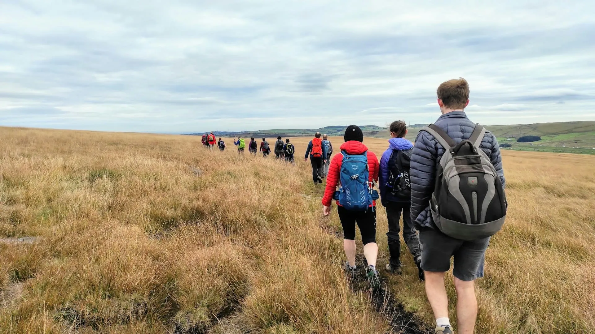 Walking Safaris