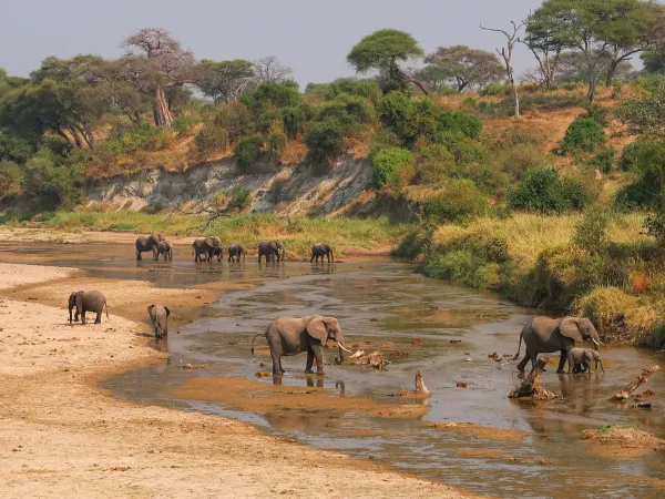 6-Day Tanzania Through the Lens · Northern Circuit Photo Safari