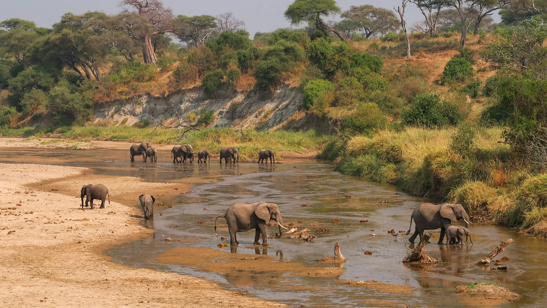 6-Day Tanzania Through the Lens · Northern Circuit Photo Safari