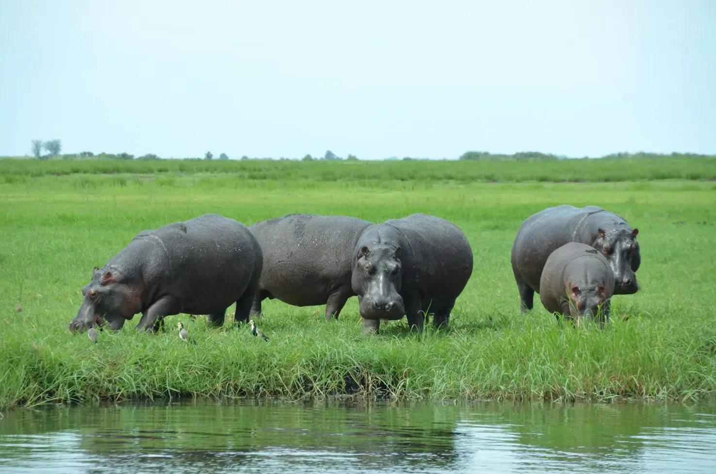 5-Day Zanzibar, Arusha & Serengeti Fly-In Safari