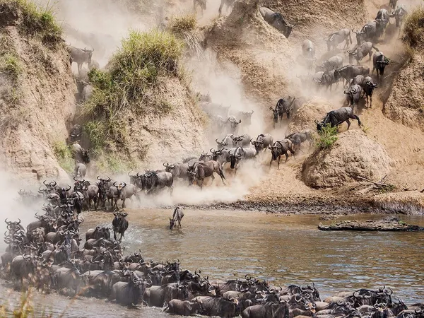 8-Day Luxury Mara River Crossing Safari