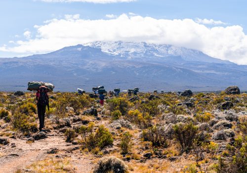 Hikers climbing Mount Kilimanjaro in Tanzania Hikers climbing Mount Kilimanjaro in Tanzania